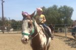 Emily Ruocco Equestrian Training and Lessons