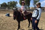 Emily Ruocco Equestrian Training and Lessons