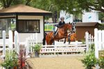 oneil-jayme-ruocco-equestrian-18