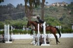 oneil-jayme-ruocco-equestrian-2