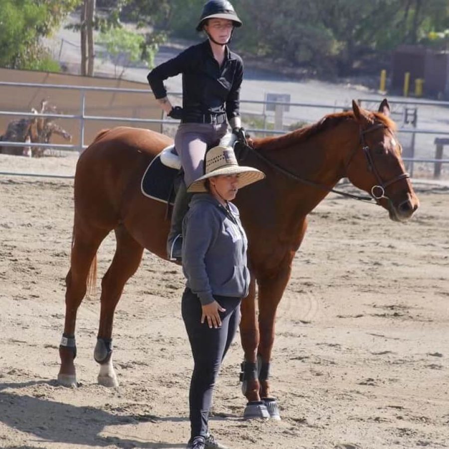 ruocco-equestrian-training
